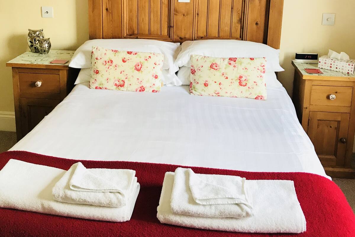 Classic Room, 1 Katil Kelamin (Double) | Seterika/papan seterika, Wi-fi percuma, cadar katil