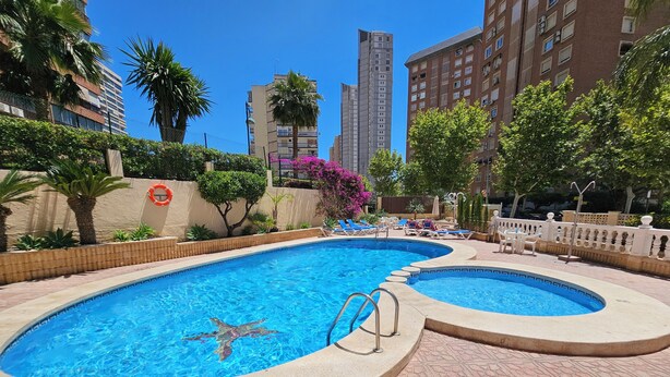 Piscina con una silla de salvavidas y un flotador, rodeada de palmeras y un muro de ladrillo.