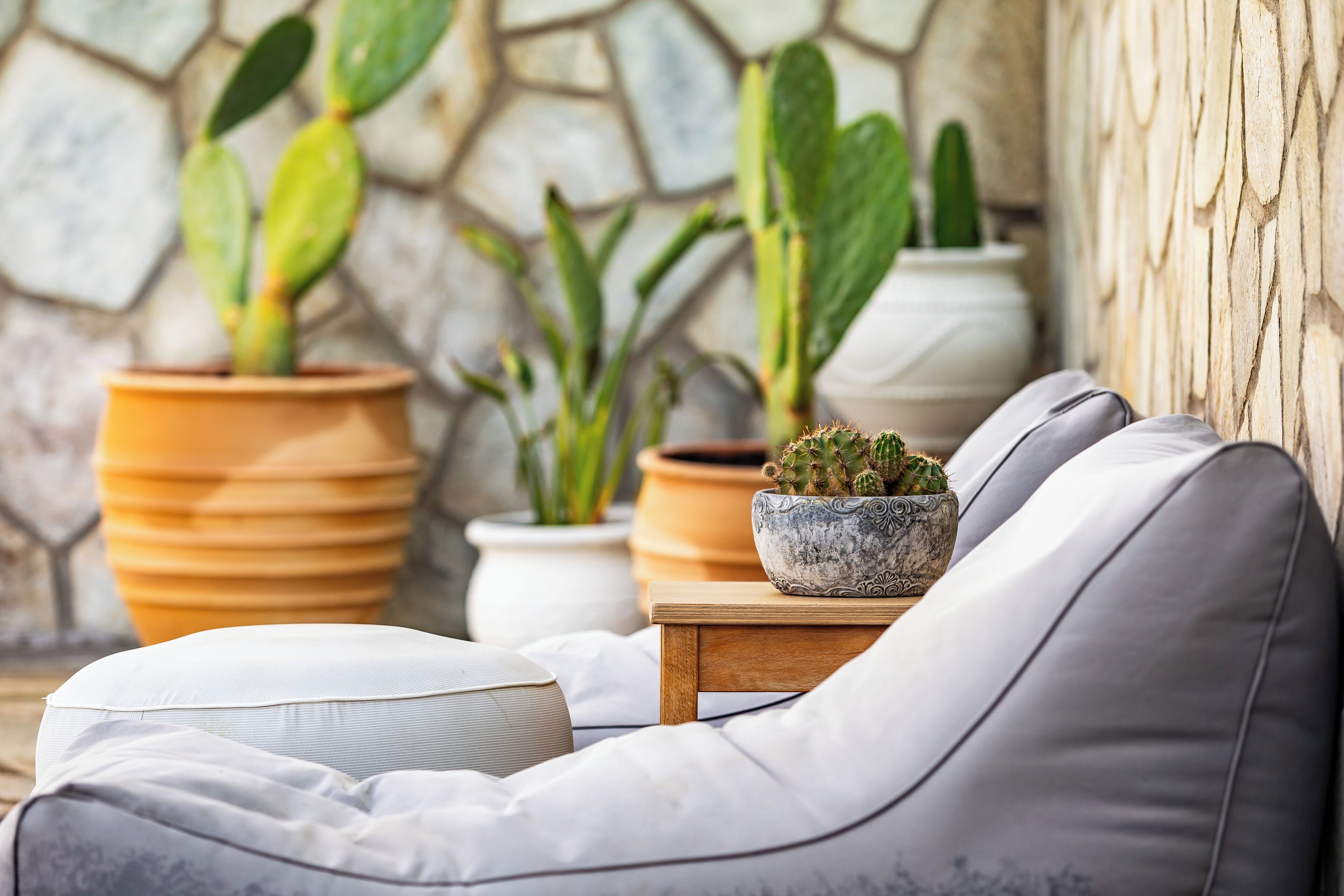 Un espacio de sala moderno con un sofá, una mesita de madera y plantas en macetas.