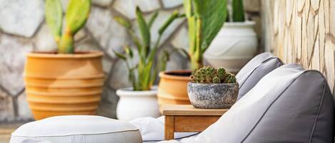 Un espacio de sala moderno con un sofá, una mesita de madera y plantas en macetas.