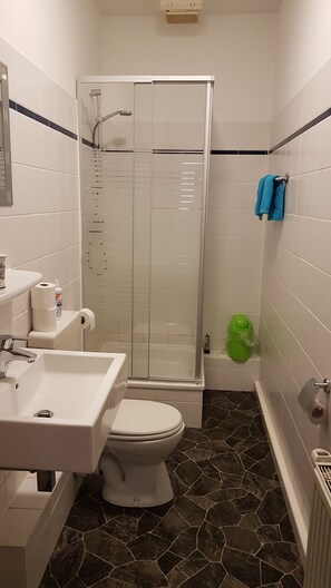 Une salle de bain avec des toilettes, un lavabo et une douche.