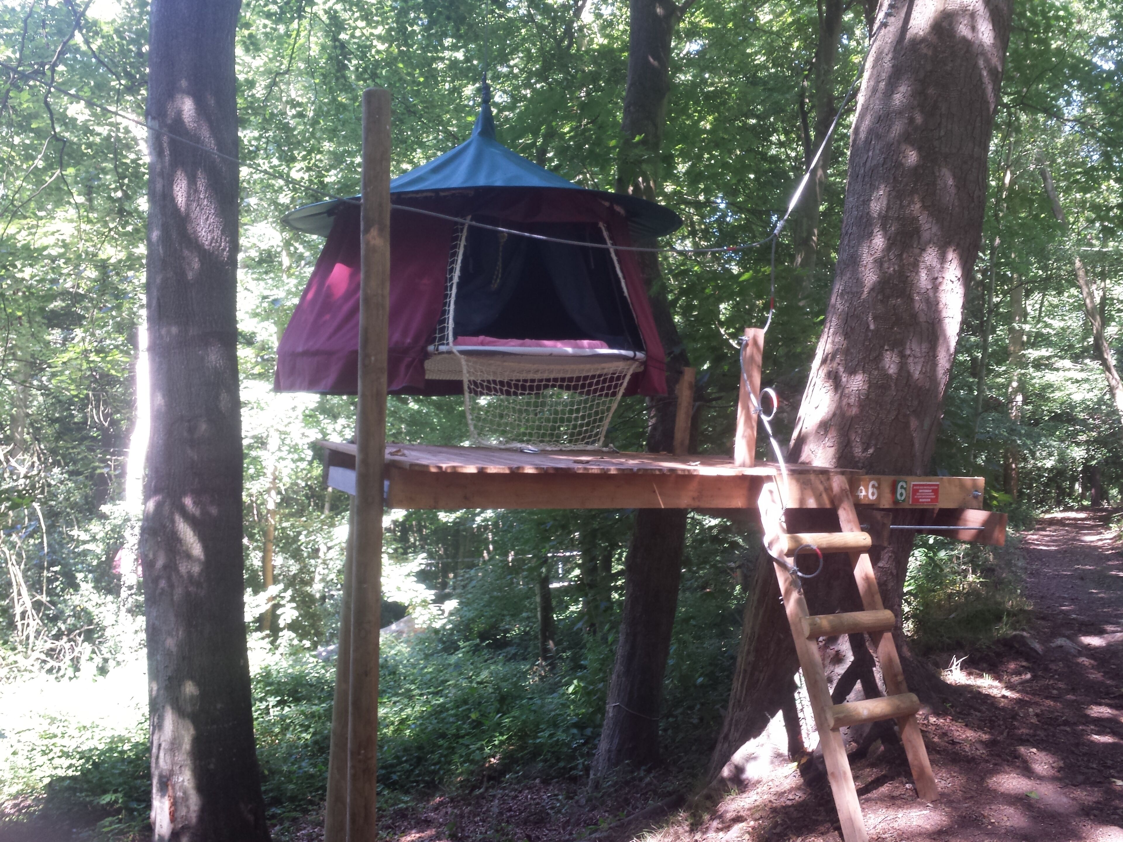 A treehouse with a platform, a rope ladder, and a canopy.