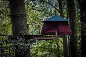 Miscellaneous - Woody Park (Fecamp)