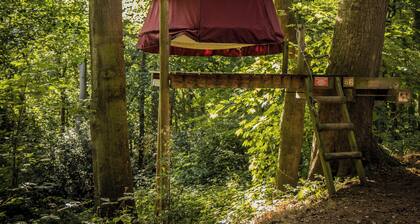 Woody Park