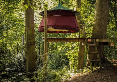 Woody Park
