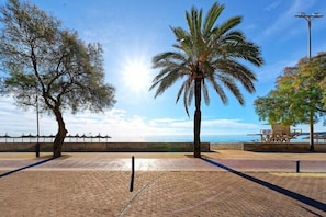 A paved walkway with palm trees and a view of the sea. - R2 Cala Millor (Son Servera)