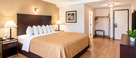 A hotel room with a bed, bedside lamps, a nightstand, a desk, a chair, a potted plant, and a door.