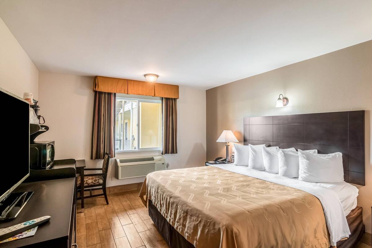 Room, 1 King Bed, Accessible, Non Smoking (Roll-In Shower) | 1 bedroom, desk, laptop workspace, blackout drapes