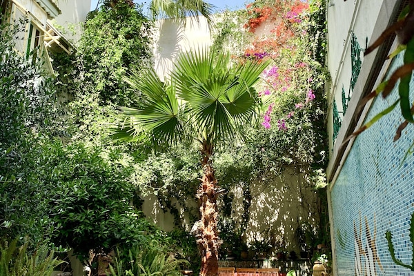 Teras/patio