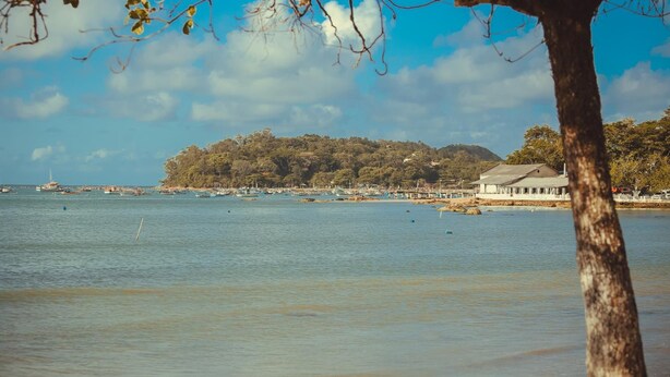 A coastal view with a tree in the foreground, a beach, and a building with a white roof in the background. - Hotel Açoriano (Penha)