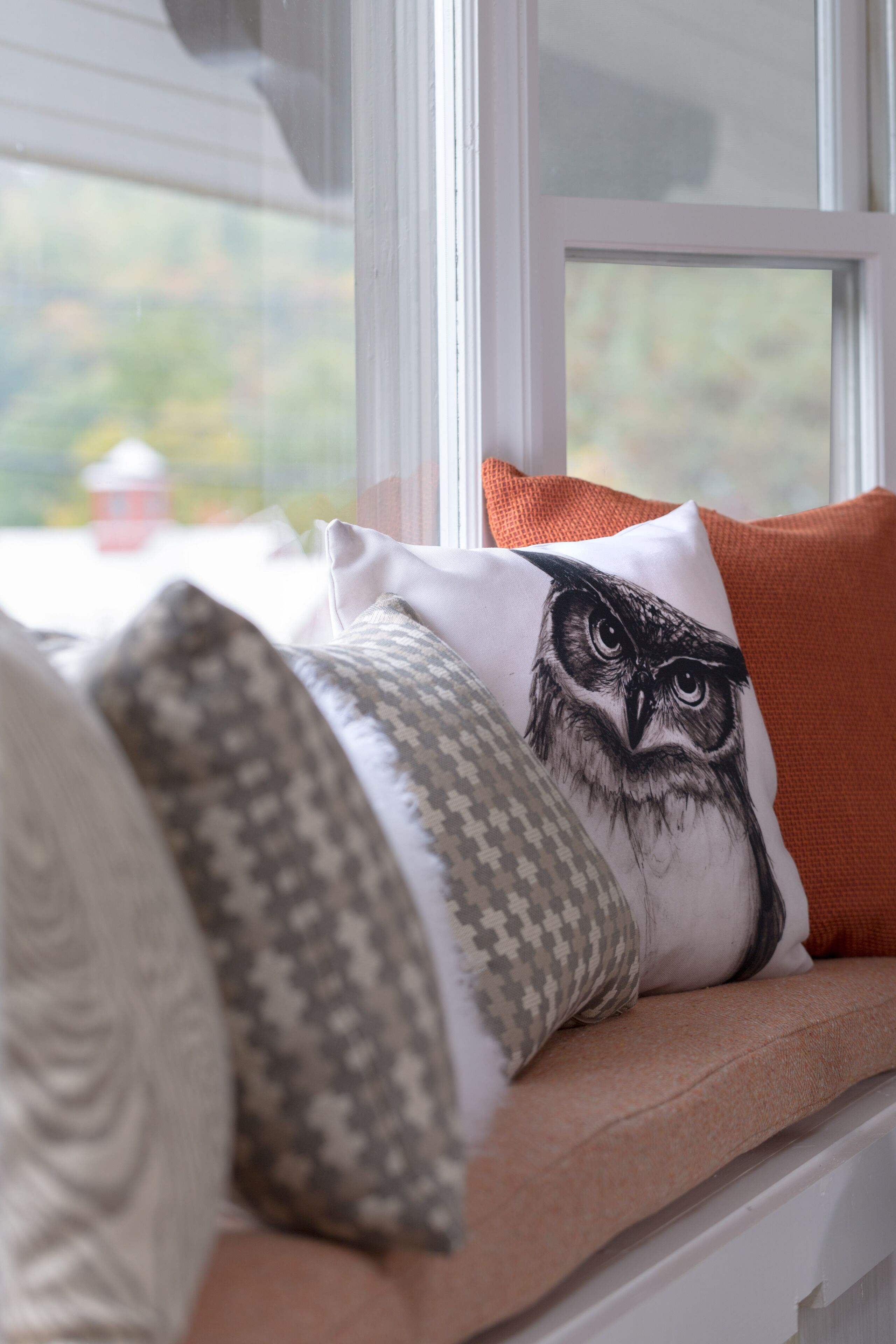 A window seat with a cushion featuring an owl design, a patterned cushion, and an orange cushion.
