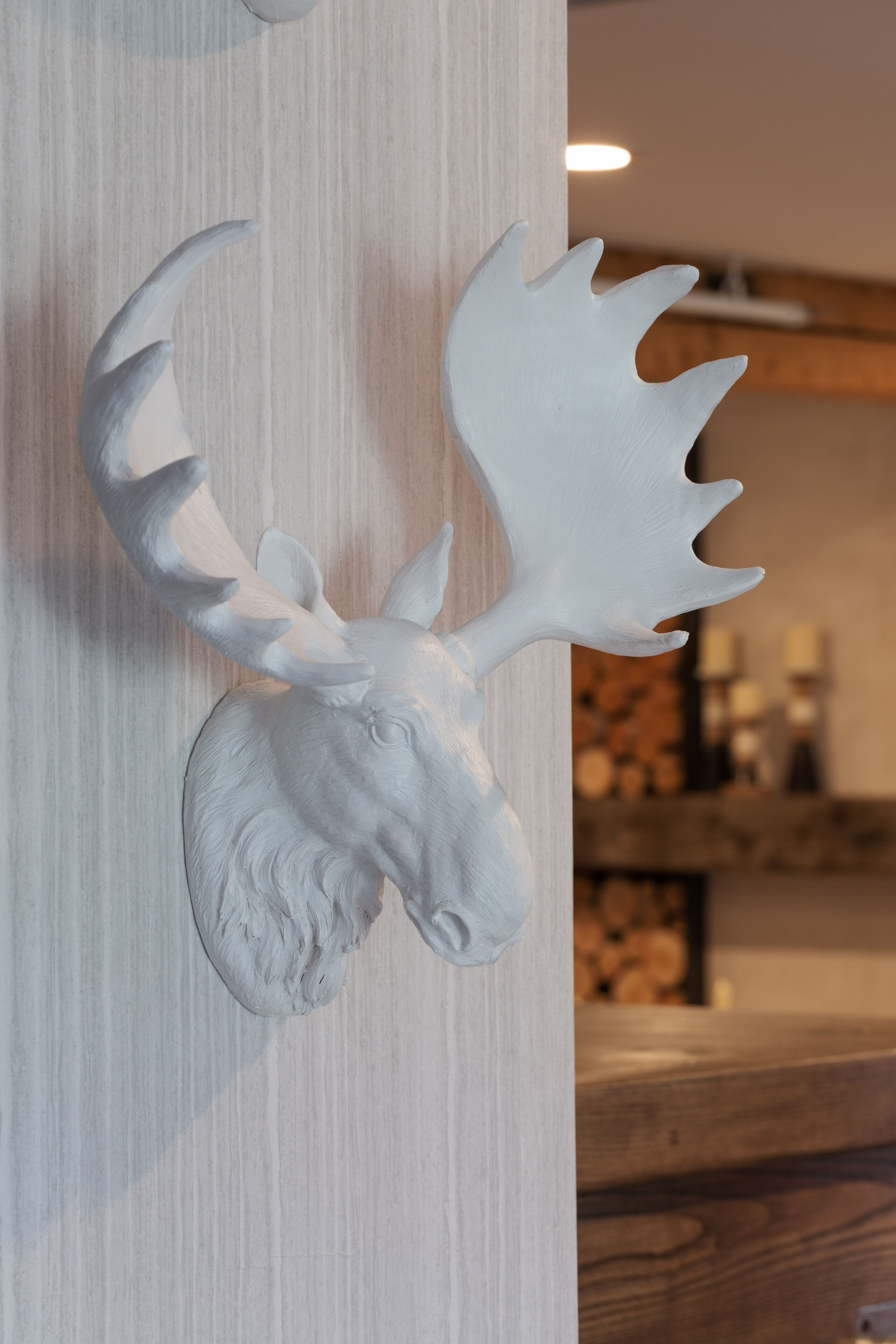 A mounted moose head on a wooden wall.