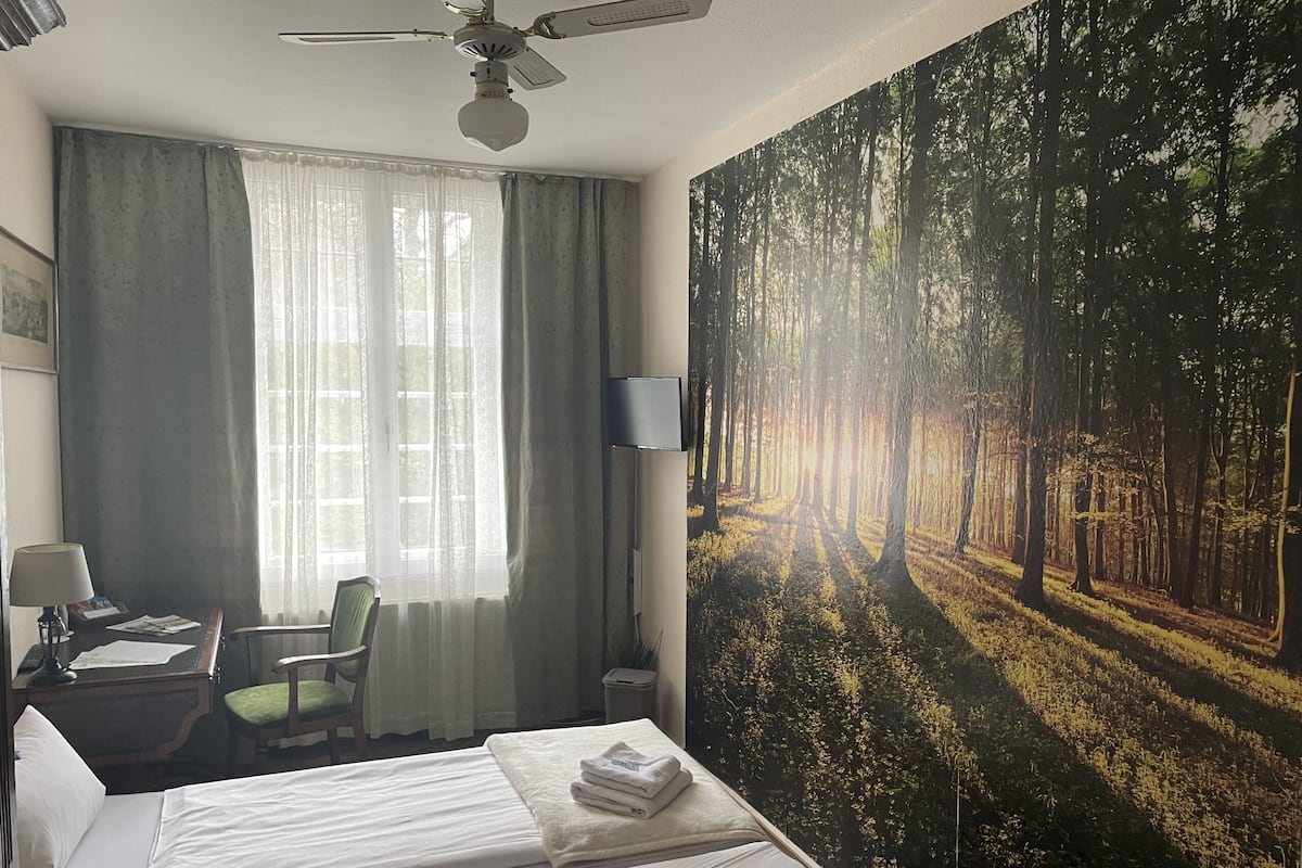 A hotel room with a bed, a desk, a chair, a lamp, and a large forest mural on the wall.