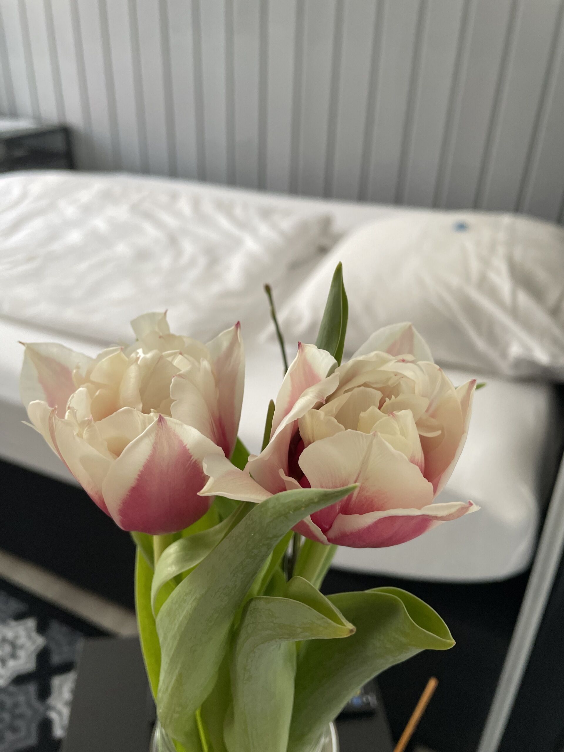 Photo - Hotel Jägerhof Kettwig