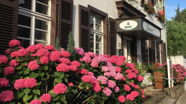 A building with multiple windows, some with shutters, and a sign that reads "Staudter." - Hotel Jägerhof Kettwig (Essen)