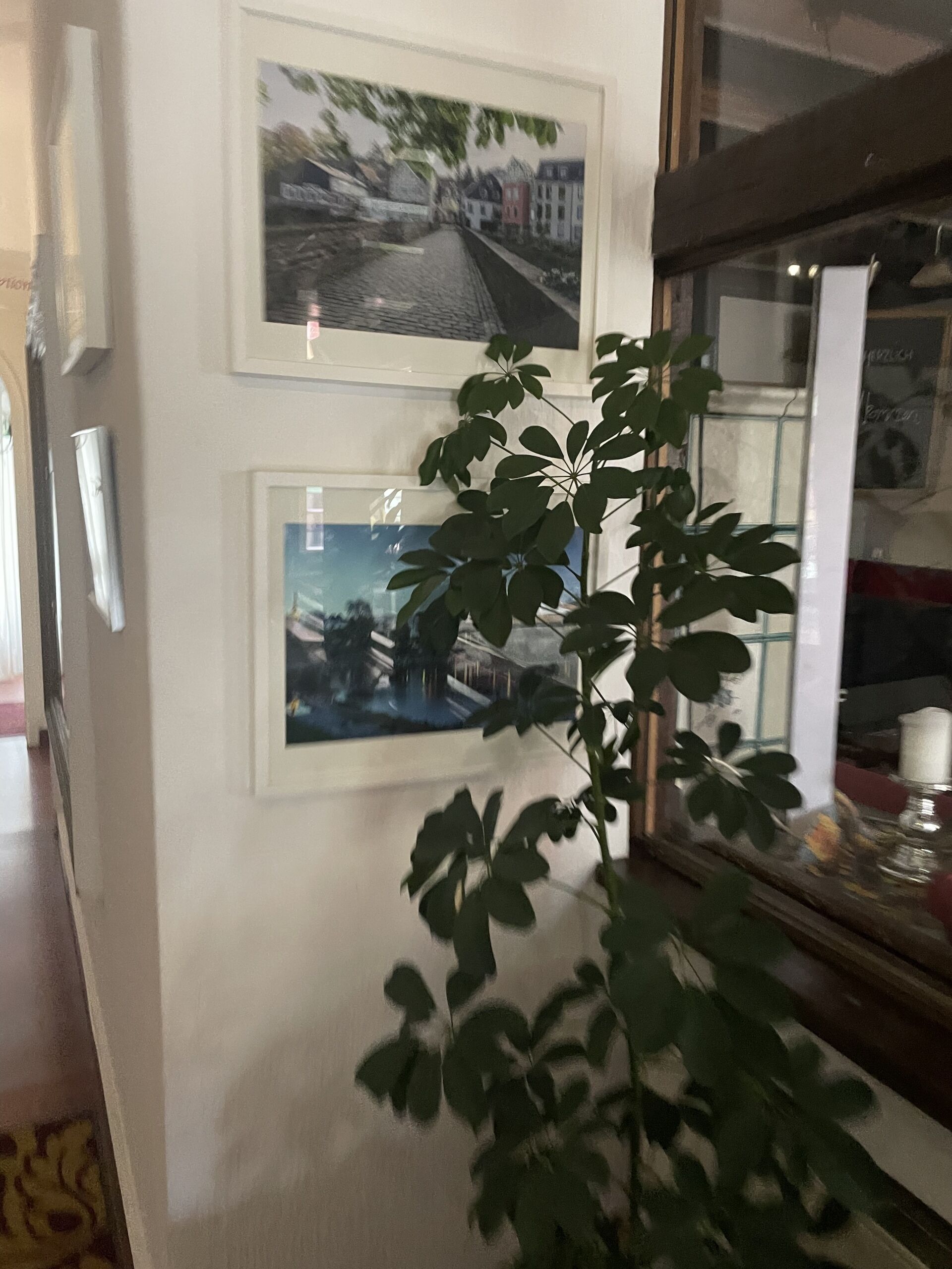 Foto - Hotel Jägerhof Kettwig