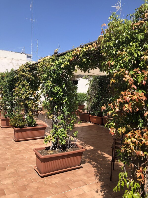 Terrace/patio - Visa Residence (Bari)