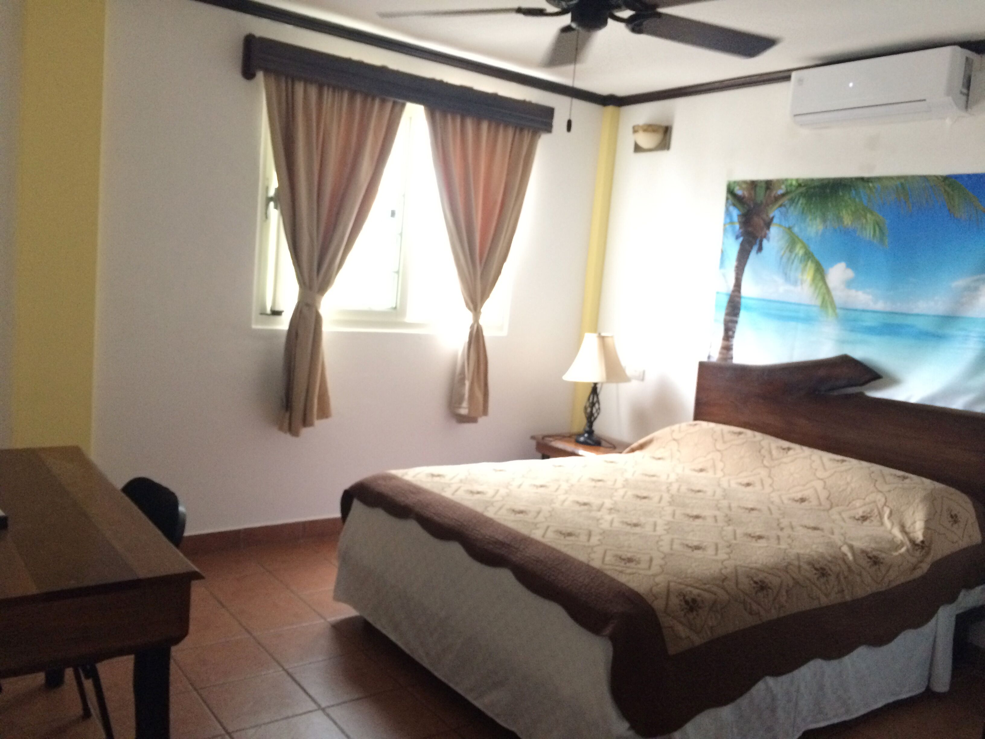 Standard Room, 1 Queen Bed | View from room