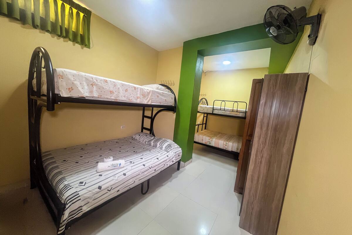 A dormitory room with bunk beds, a standing fan, and a green accent wall.