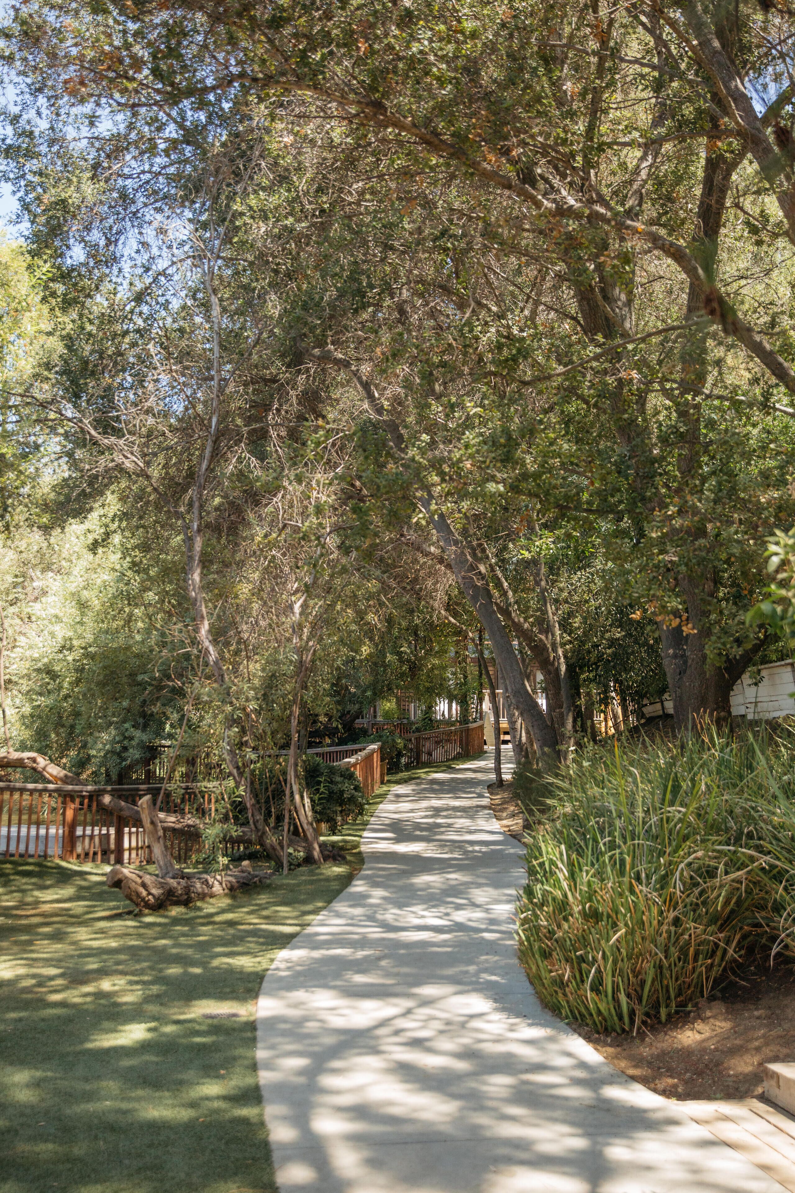 A paved pathway flanked by trees and greenery, leading to a wooden fence.