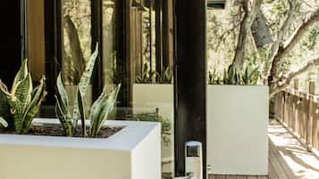 Luksus-studiosuite, flere senger | Terrasse/patio