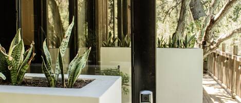 Un bâtiment moderne doté de grandes fenêtres, d’une terrasse en bois et de plantes en pot.