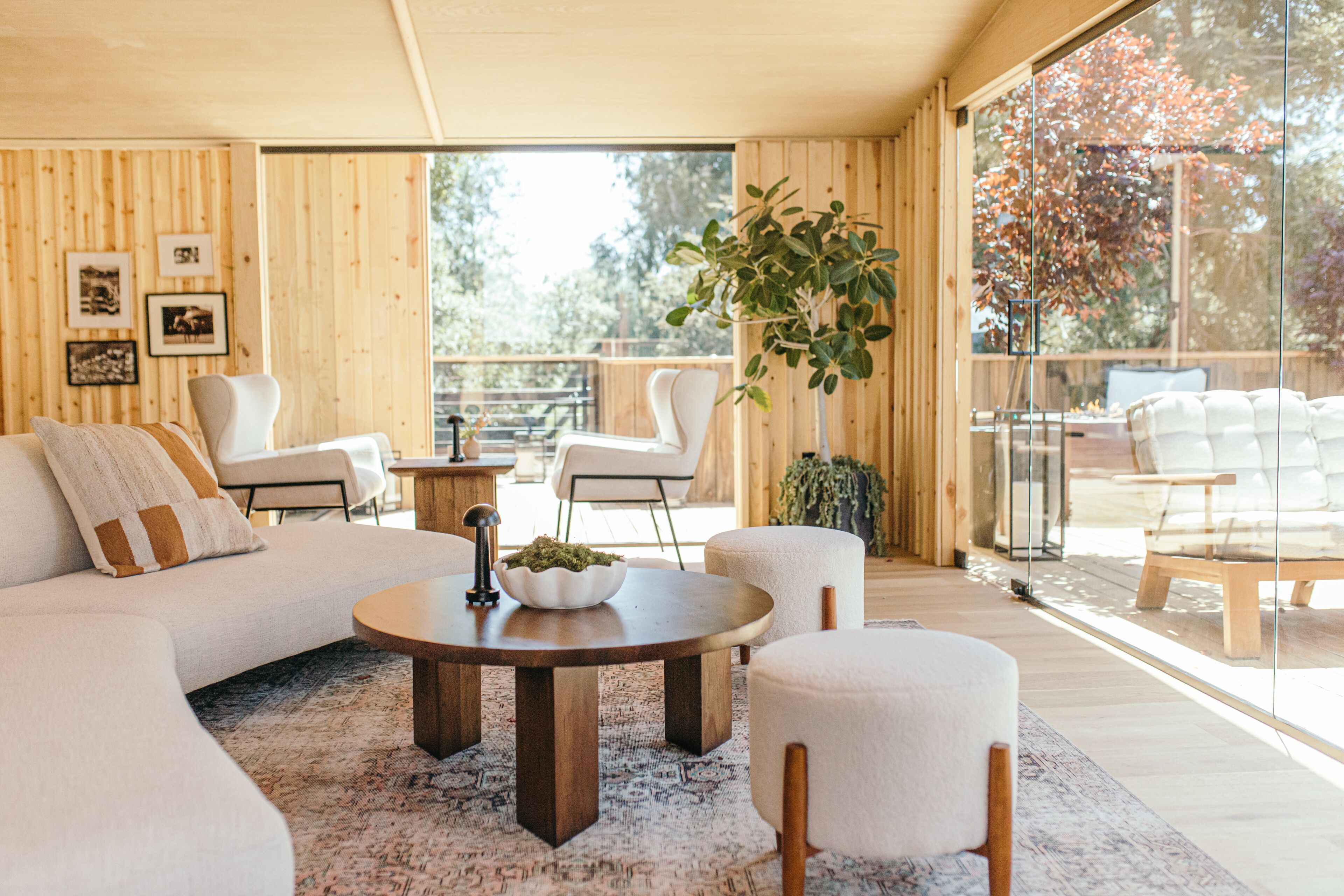 A modern living room with a large window, wooden walls, a sofa, chairs, a coffee table, and a plant.