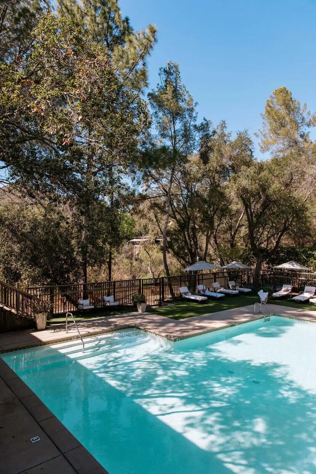 A swimming pool with lounge chairs and umbrellas, surrounded by trees and a wooden fence.