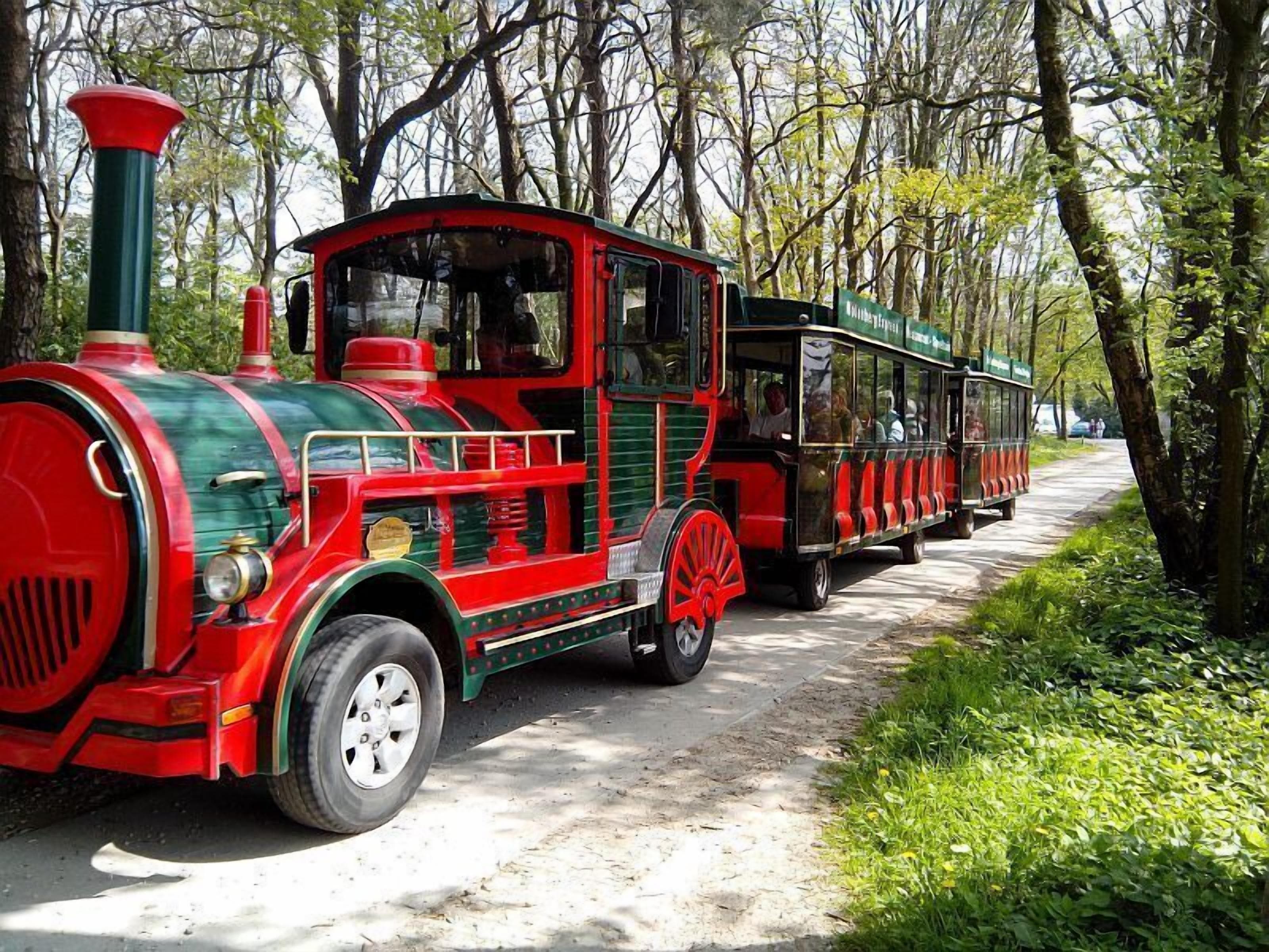 A red and green steam train with passengers, traveling on a paved path surrounded by trees.