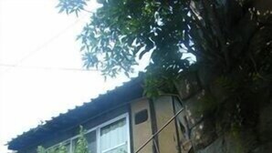 A yellow bicycle parked against a rocky wall with a house in the background. - Guest House Aloes House - Hostel (Onomichi)