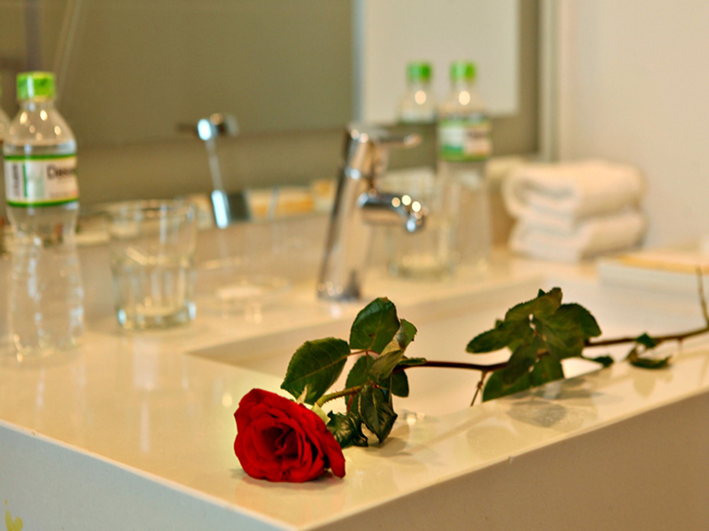 Un lavandino in bagno con una rosa rossa, flaconi, bicchieri e asciugamani.