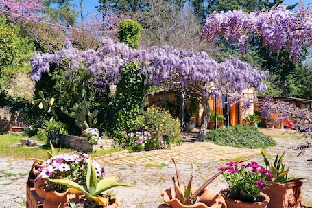 Exterior. B&B Glicine