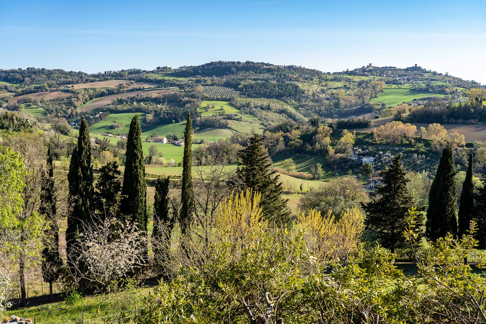 Vista panorámica de un paisaje montañoso con viñedos, cipreses y edificios dispersos.