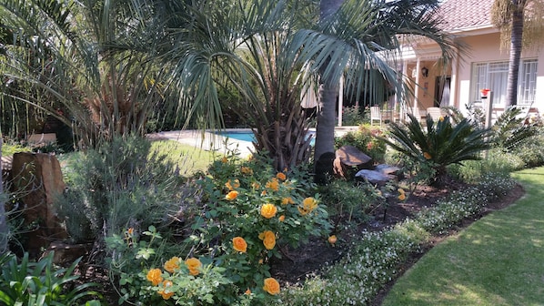 A garden with a pool, palm trees, and various plants.