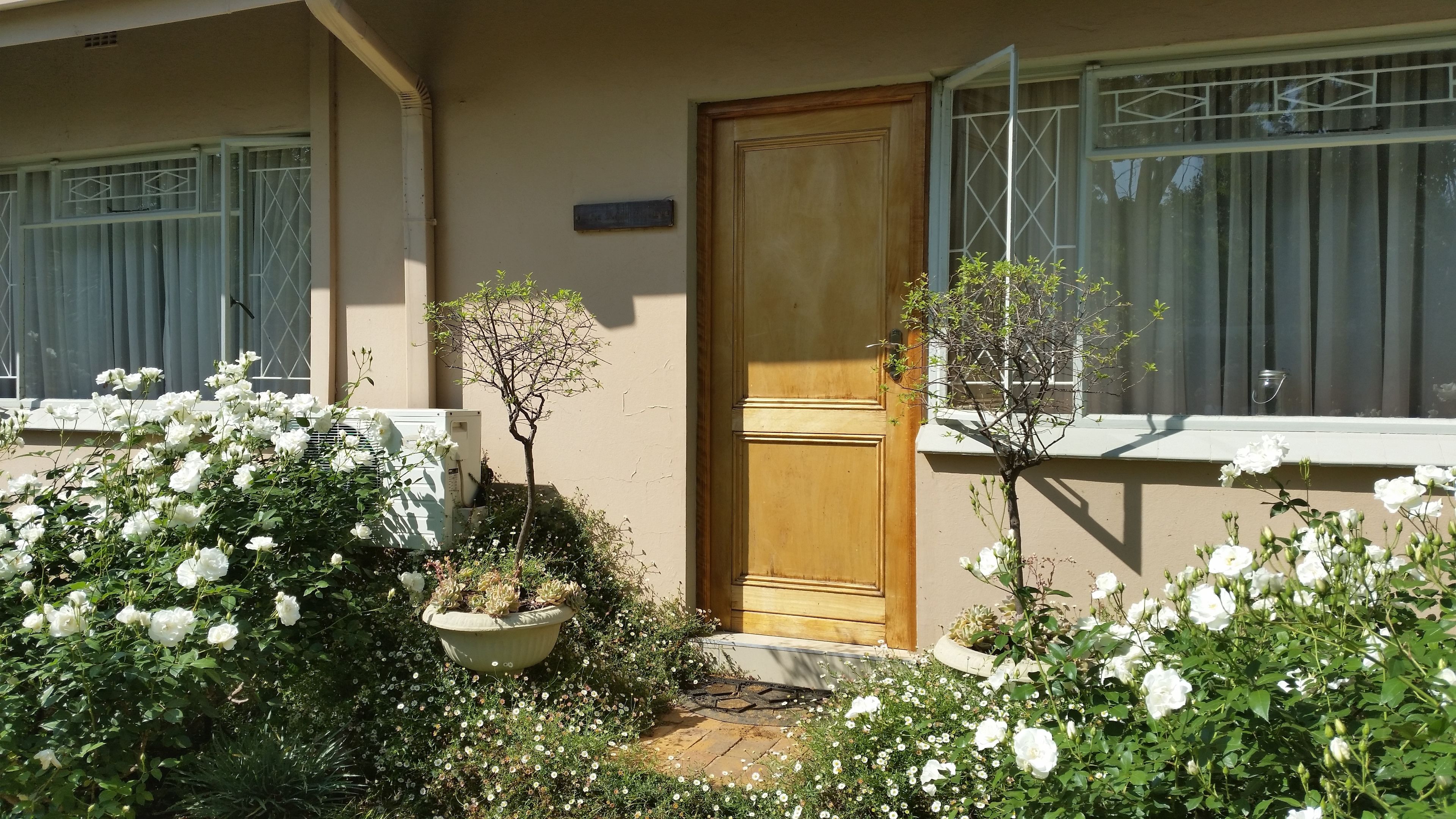 A residential building with a front door, a small tree, and white flowering plants.