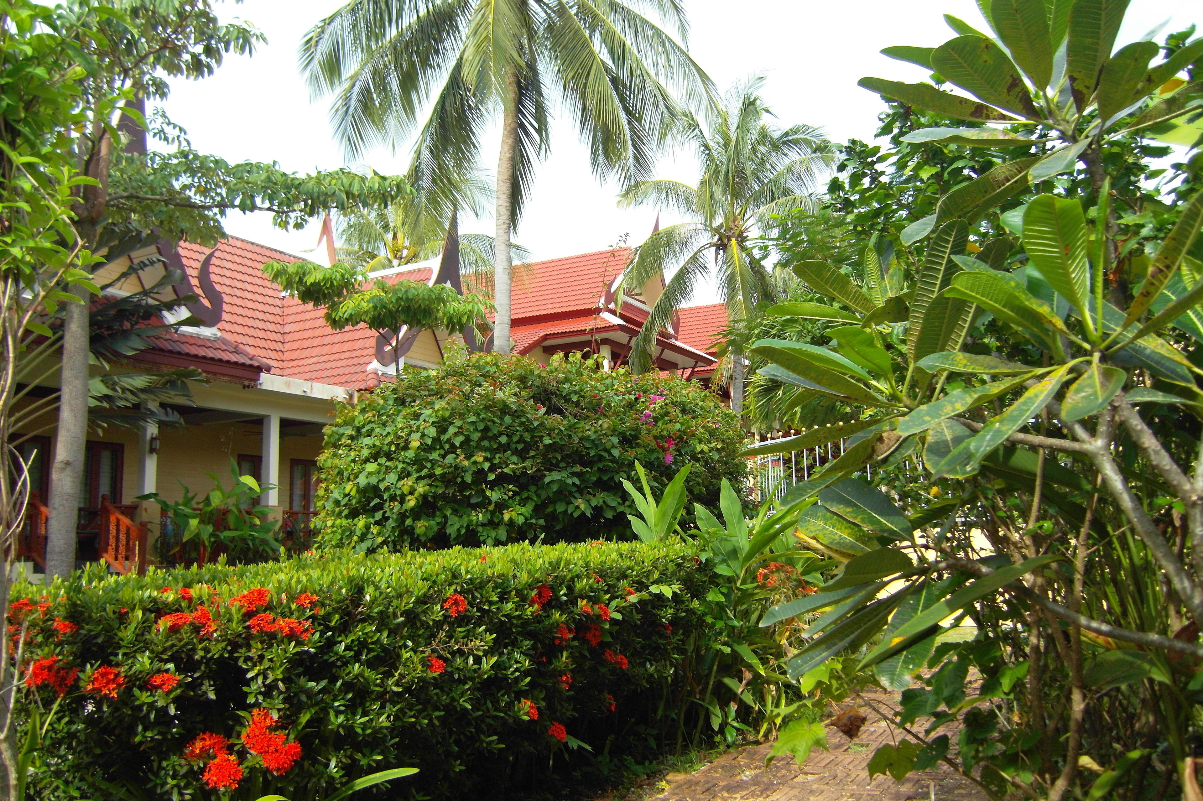 A tropical resort with a red-roofed building surrounded by lush greenery and flowering plants.