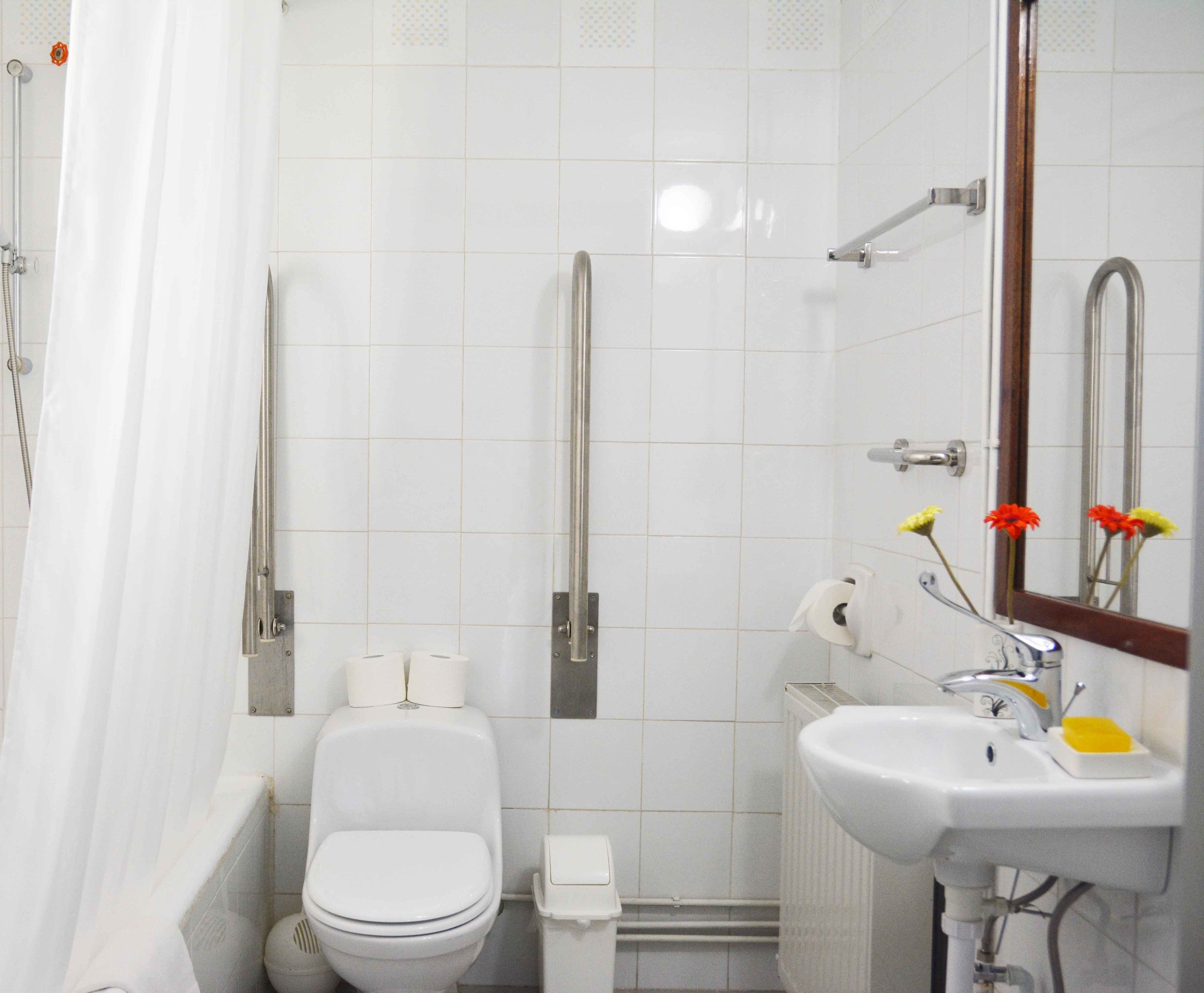 standard double or twin room, 1 double or 2 single beds, accessible, mountain view | bathroom | hair dryer, towels