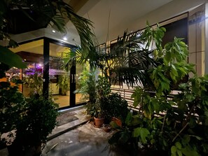 A well-lit indoor garden with various potted plants and a glass door entrance. - 26 Bed and Coffee (Chonburi)