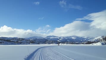A snow-covered landscape with a clear sky, a frozen lake, and distant mountains.
