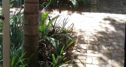 Gorgeous Gecko Guesthouse