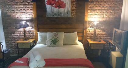 Gorgeous Gecko Guesthouse