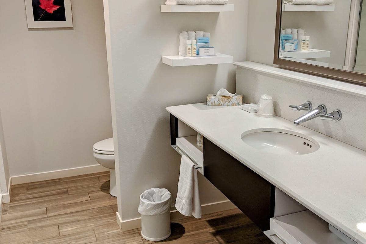 room, 1 king bed, non smoking | bathroom | towels