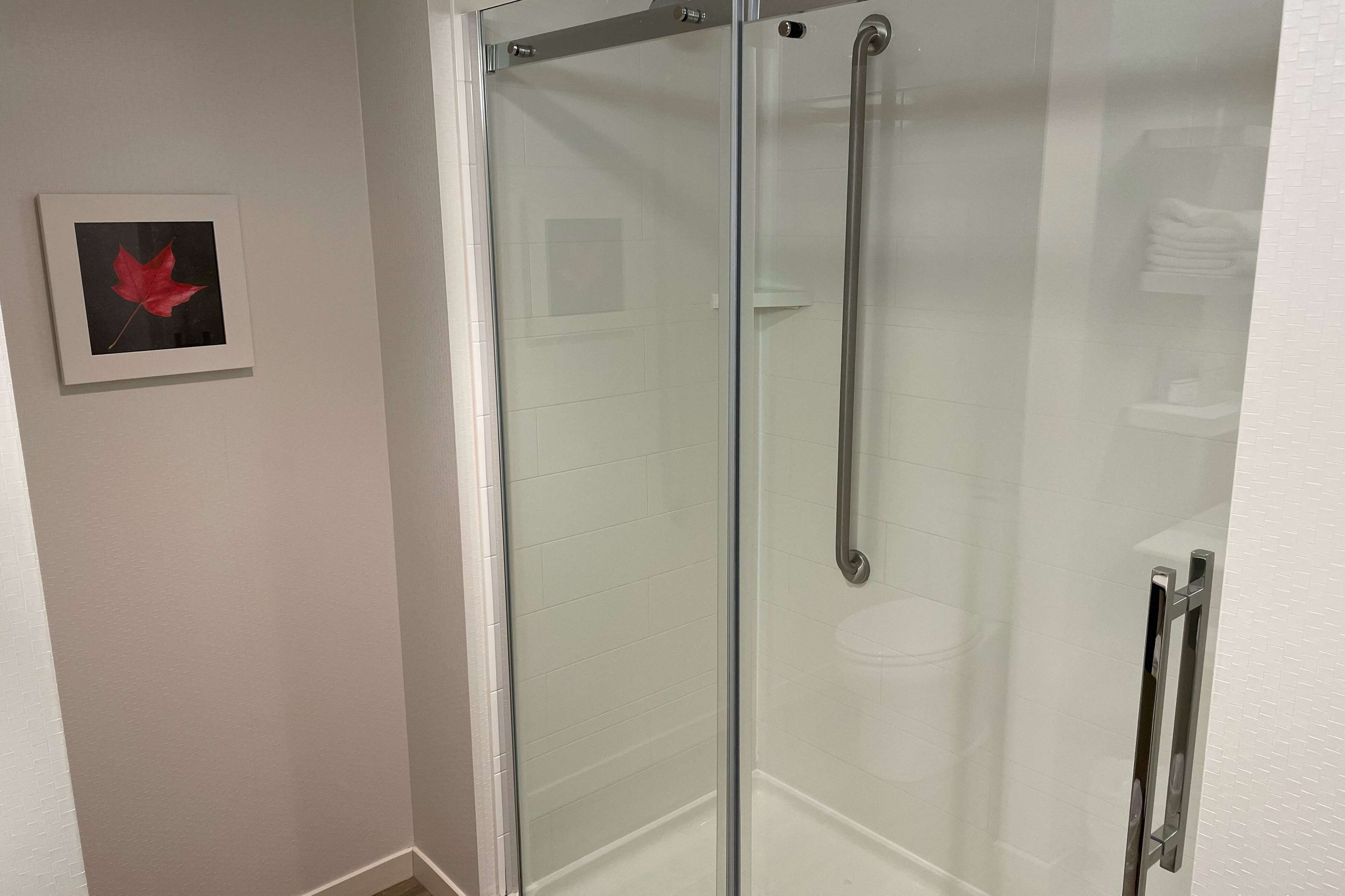 A glass-enclosed shower with a handrail, a framed picture of a red leaf on the wall, and a tiled shower area.