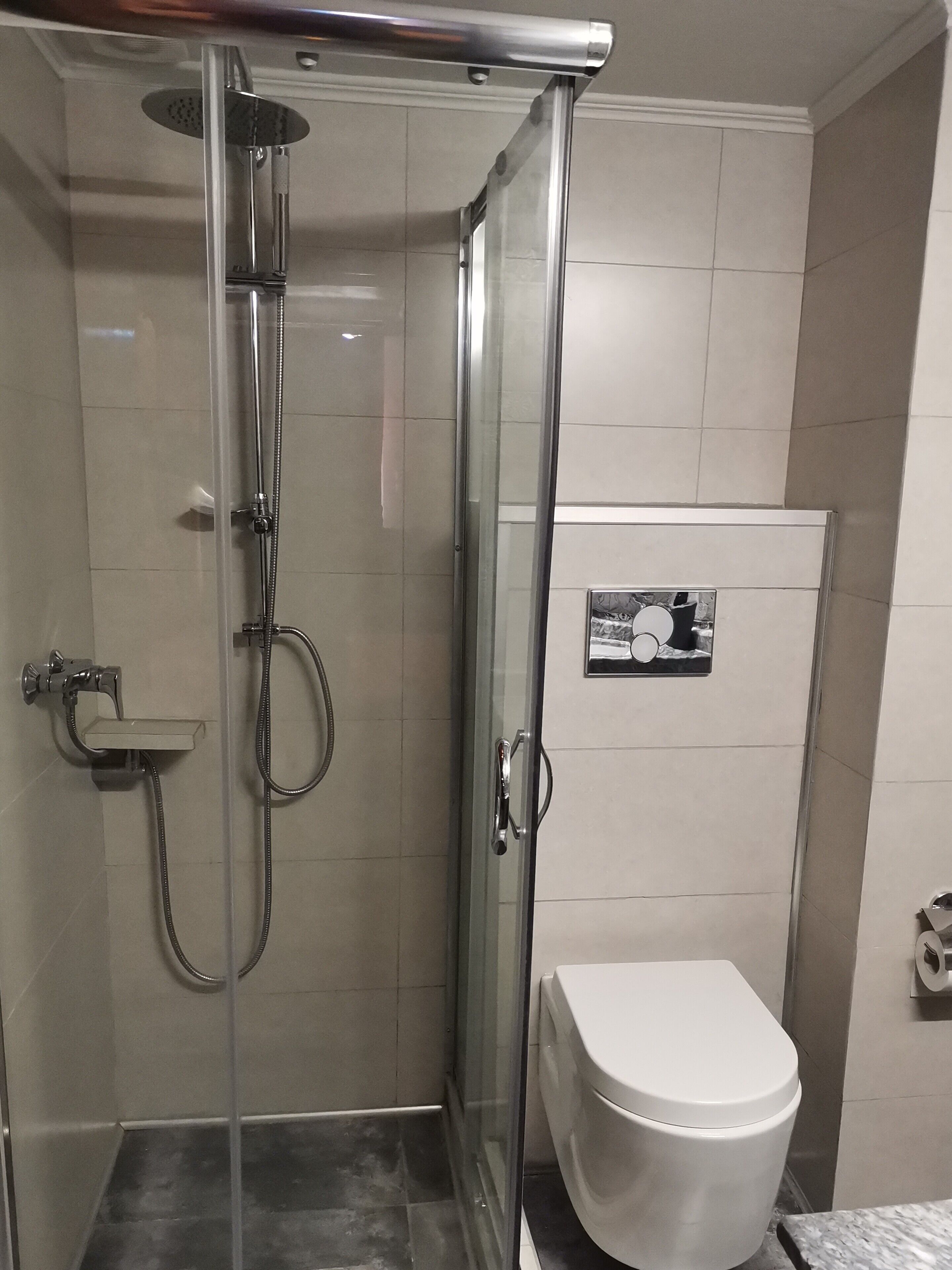 Ducha envuelta en vidrio con cabezal de ducha manual y llave de pared. Junto a la ducha, hay un inodoro blanco con manija de descarga.