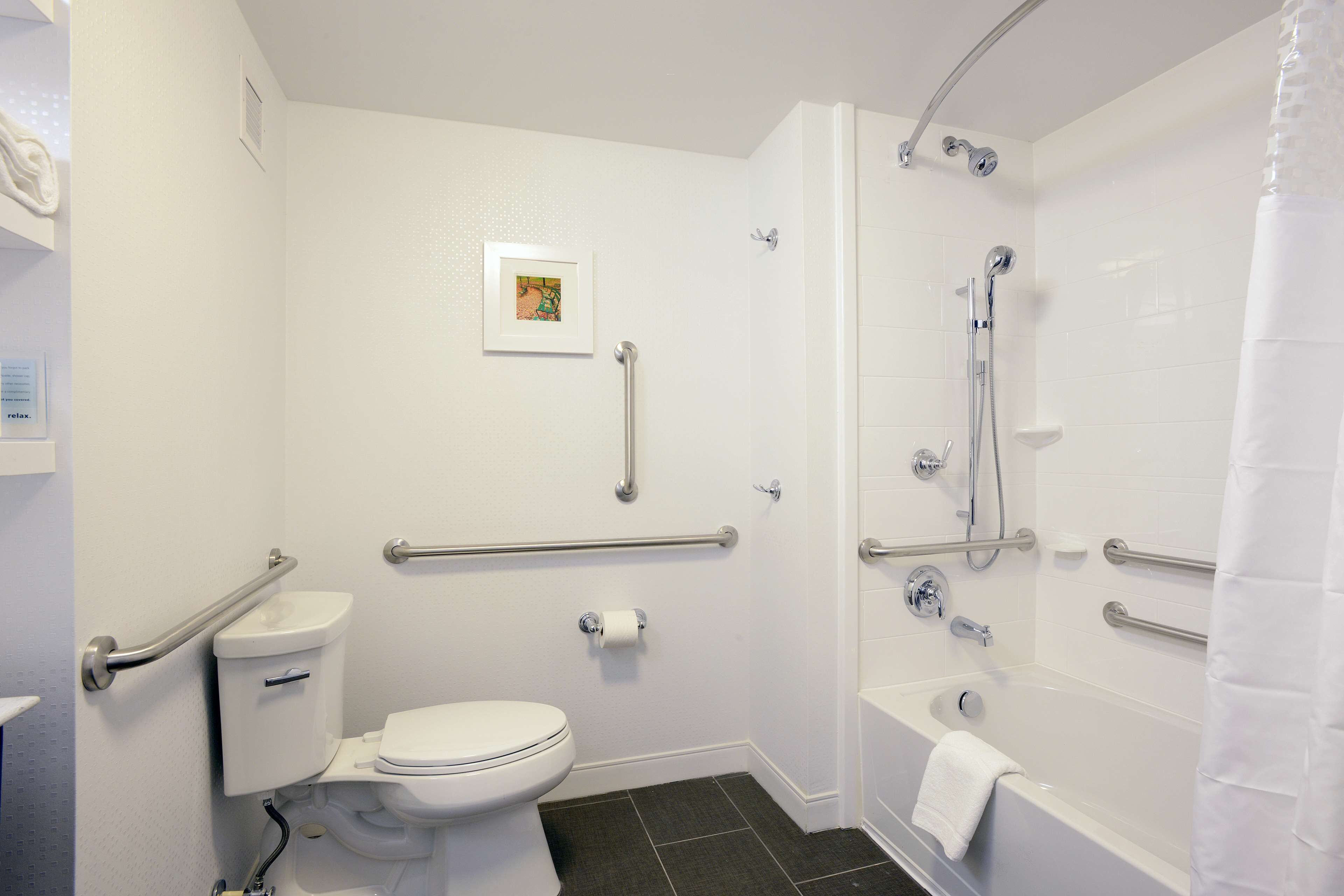 A bathroom with a toilet, a shower, and a bathtub. It includes grab bars and a picture on the wall.