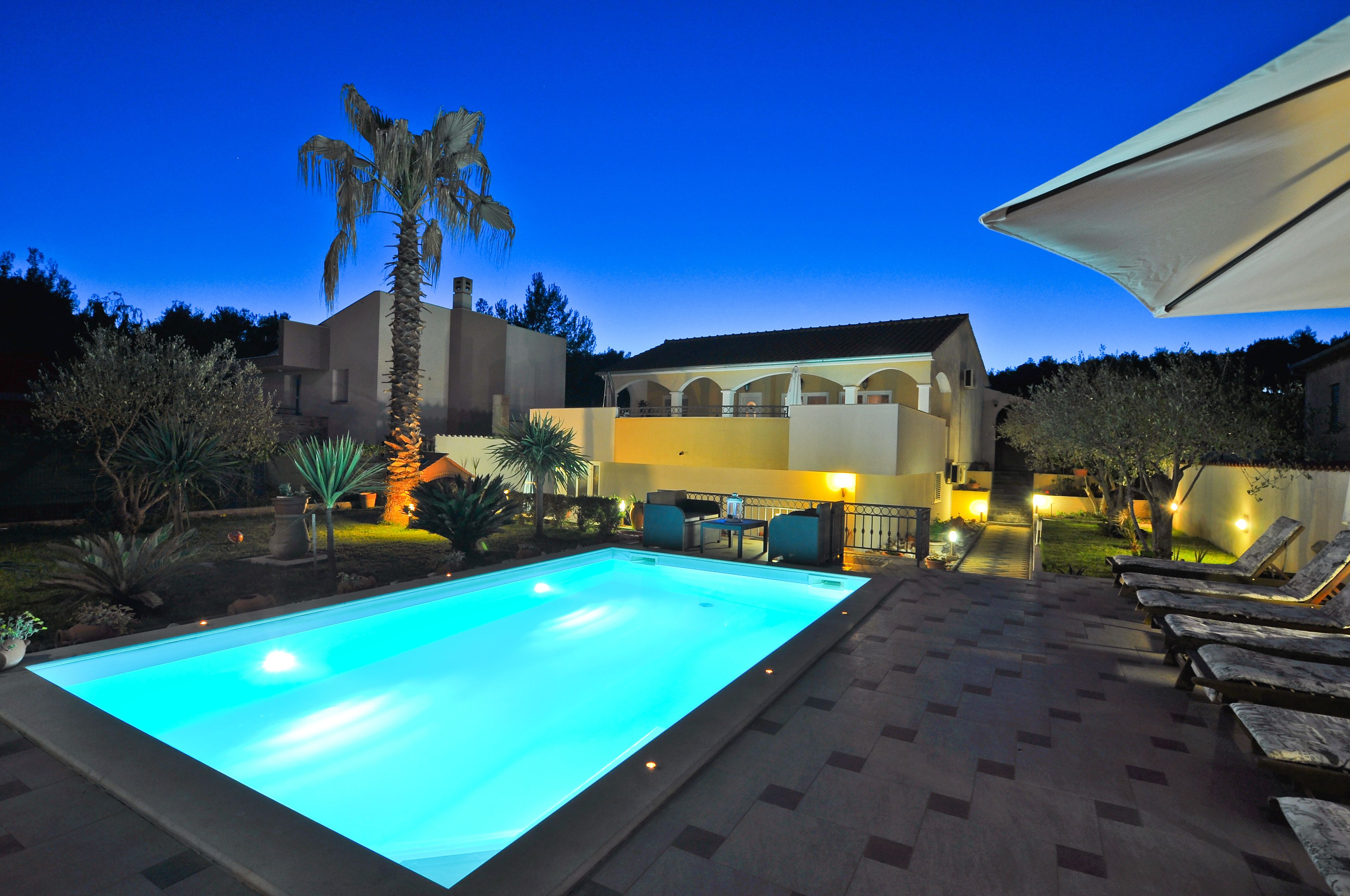 A swimming pool with a tiled deck, lounge chairs, and a palm tree.