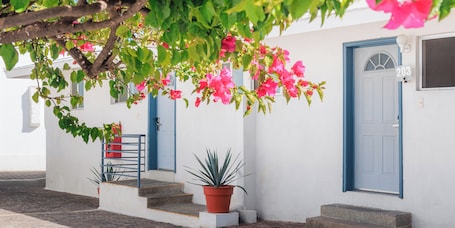 Exterior. Opportunity León