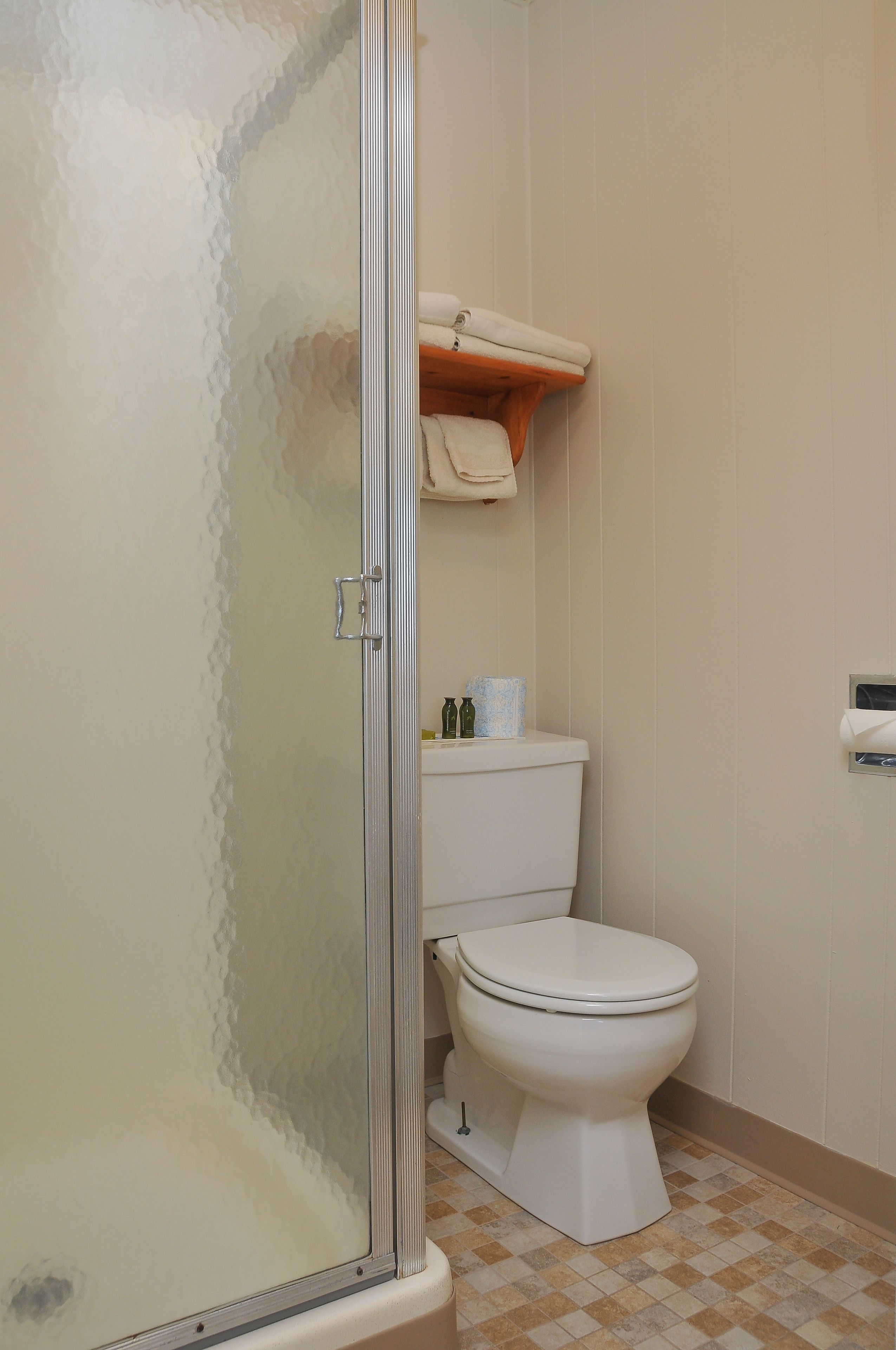 A bathroom with a glass shower enclosure, a toilet, and a shelf with toiletries.