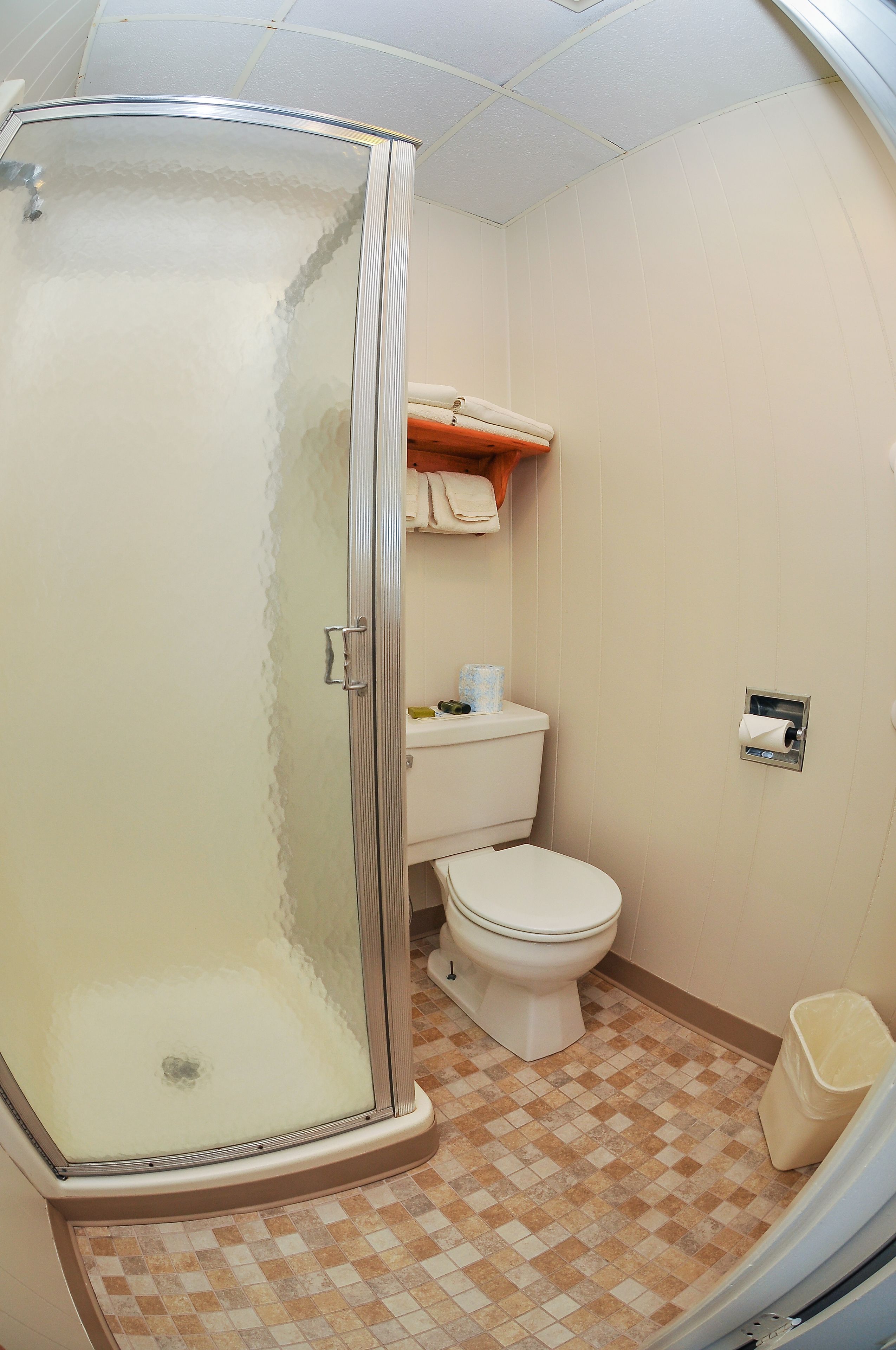 Une salle de bain avec une douche à parois de verre, des toilettes et une poubelle.