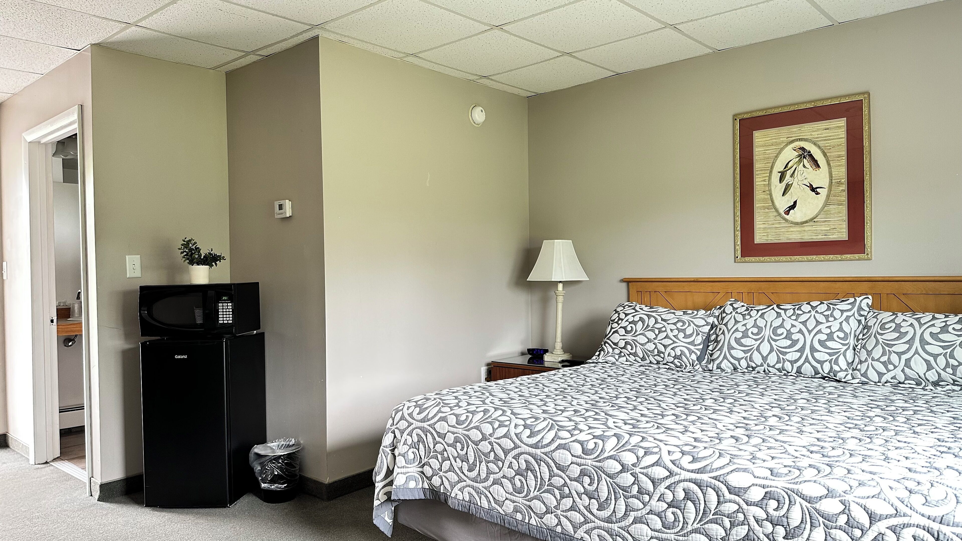 Habitación de hotel con cama, mesita de noche con lámpara, microondas, refrigerador y basurero.